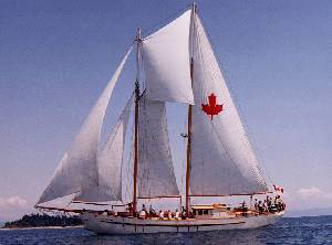 The Schooner Maple Leaf