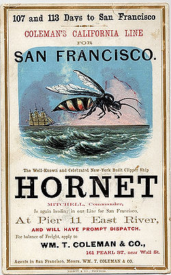 Hornetclipper.jpg